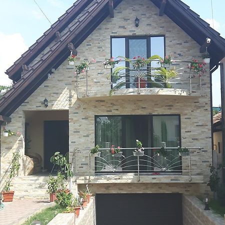 Vila Alexia Calimanesti Exterior photo