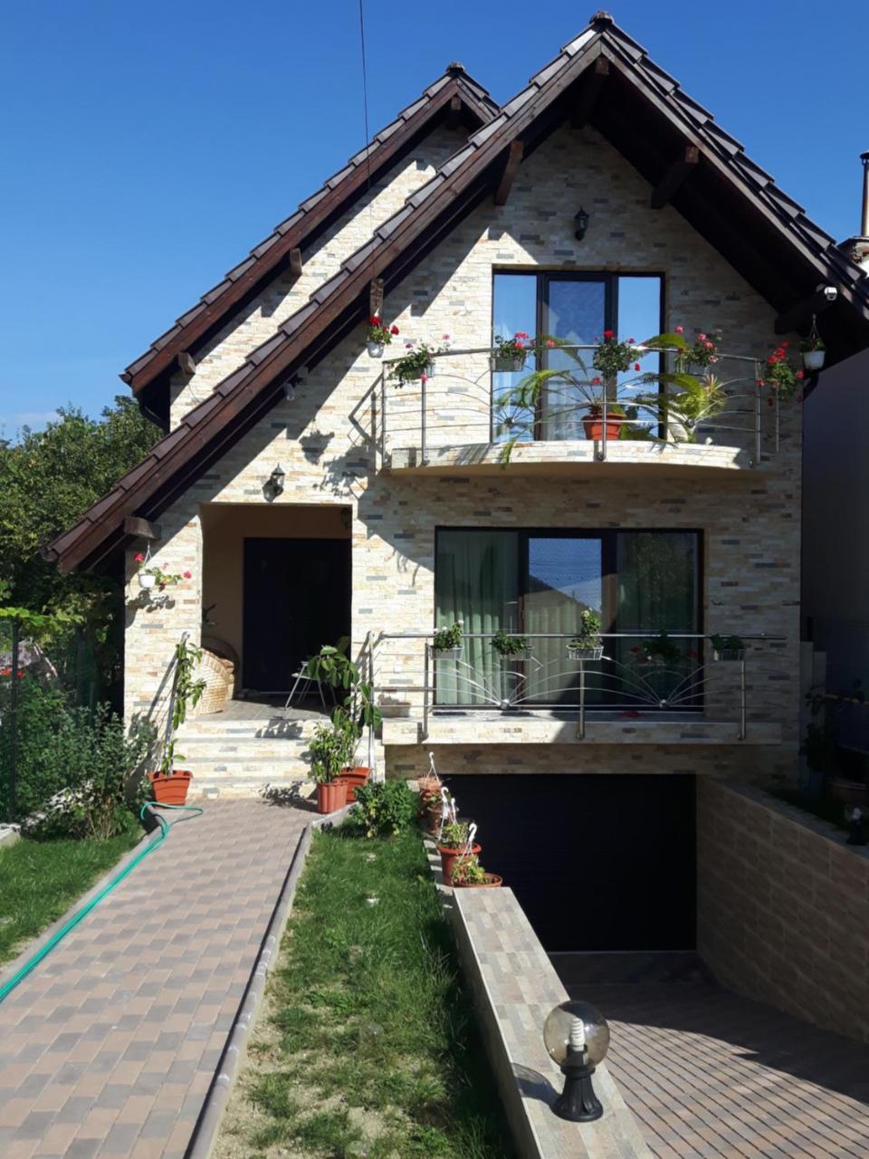 Vila Alexia Calimanesti Exterior photo