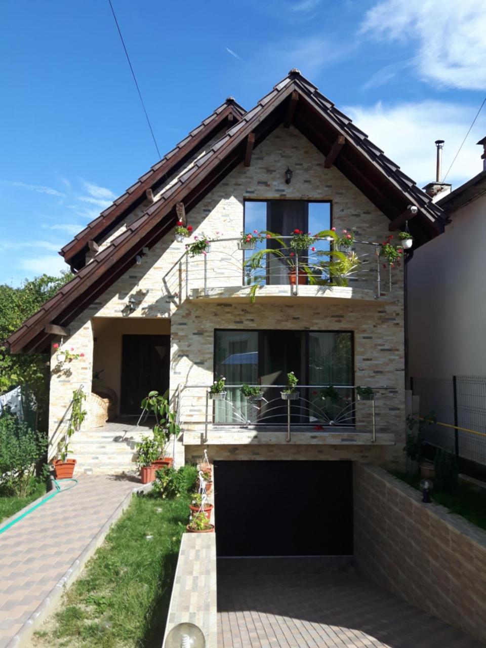 Vila Alexia Calimanesti Exterior photo
